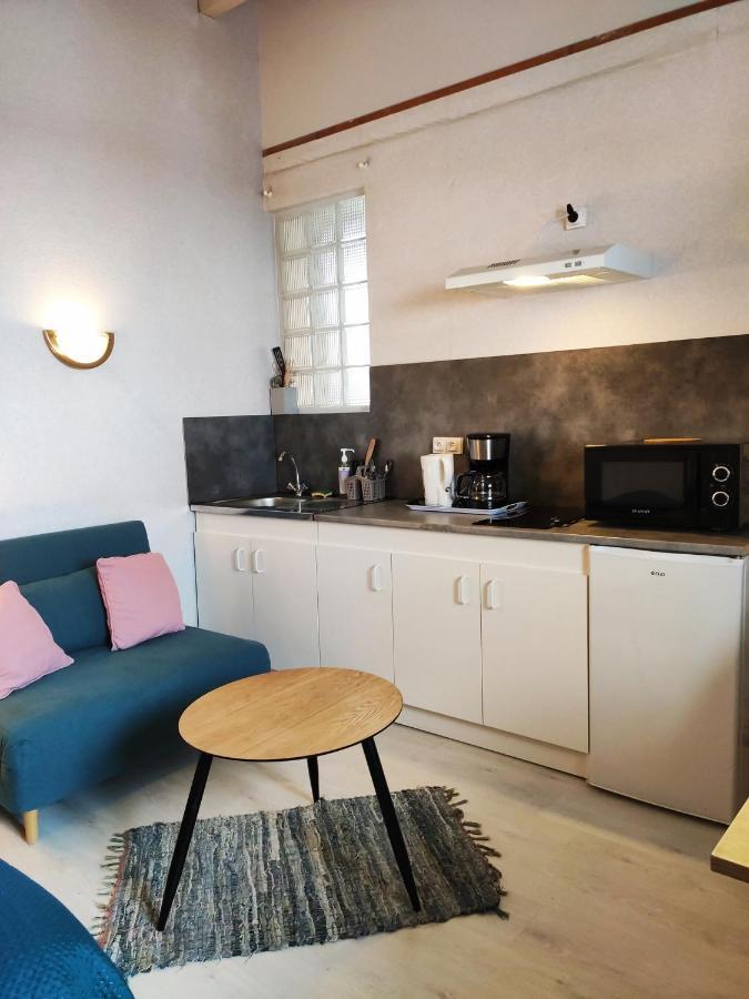 Studio Avec Terrasse Vue Tourmalet Dans Villa Historique "Victoria" Argeles-Gazost Ngoại thất bức ảnh